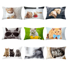 可爱宠物猫呆萌猫咪靠背垫客厅沙发靠垫套办公室护腰午睡抱枕套