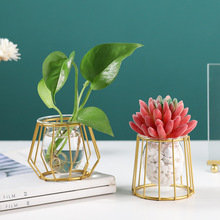 北欧ins铁艺金色水培玻璃花瓶摆件 创意家居客厅桌面装饰几何水培