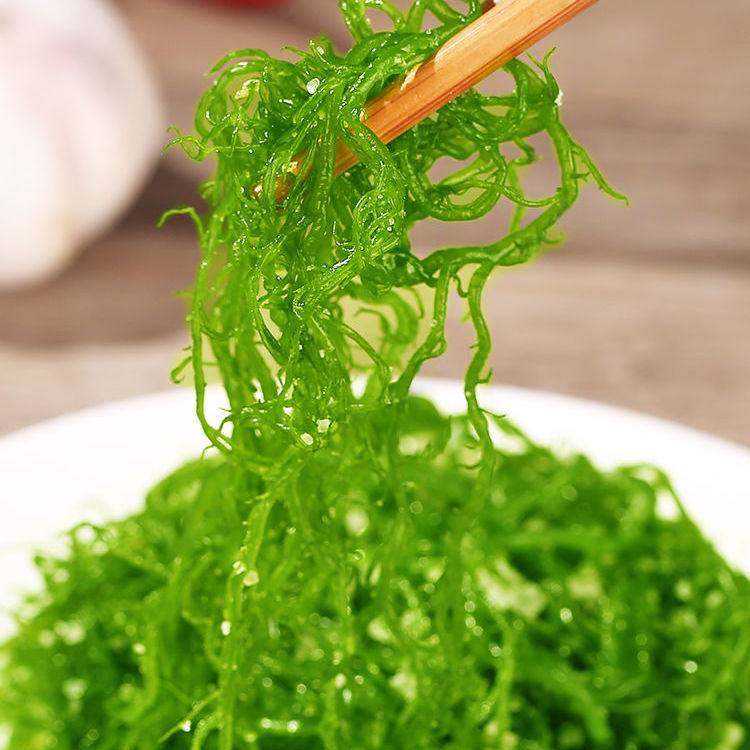 5斤包邮 新鲜海菜凉拌龙须菜海藻火锅凉拌菜柳丝龙须草鹿角菜批发