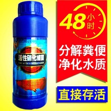 硝化细菌鱼缸净水剂免换水硝化细菌鱼用水族鱼药活菌硝化细菌原液