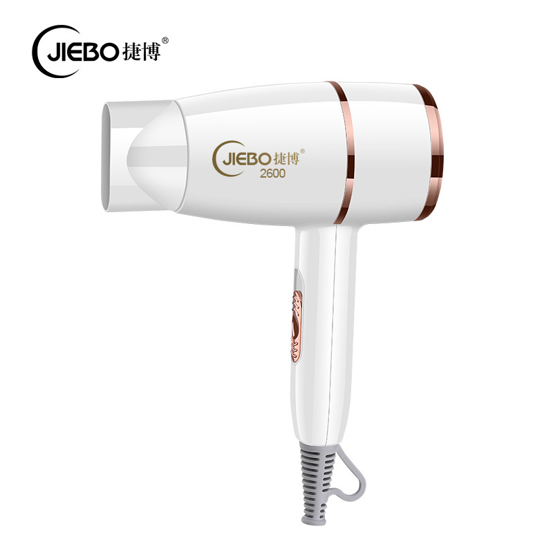 Factory Direct Supply Internet Celebrity Simple Home Hammer Hair Dryer Constant Temperature Hot and Cold Jie Bo Mute Dormitory Hair Salon Hair Dryer