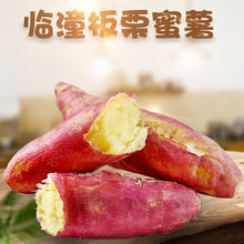 陕西临潼板栗薯 代发3/9斤黄心沙地糖心红薯板栗味红皮生地瓜蜜薯