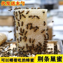 荆条蜂巢蜜成熟农家自产蜂巢蜜500g荆条巢蜜蜂蜜土特产代理