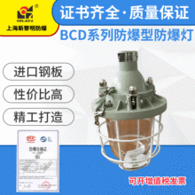 隔爆型防爆灯BCD/BAD61-100~400 分体 新黎明防爆灯 供应