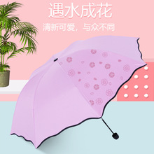 遇水开花晴雨两用雨伞黑胶防晒遮阳伞女士礼品伞可印logo三折叠伞