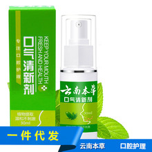 云南本草口气清新剂30ml 口腔清新喷雾剂 男女士口臭批发代发