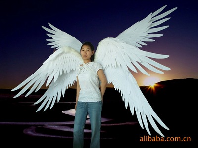 供应工艺礼品六翼天使羽毛天使翅膀(图)