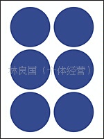 永实高级自粘性标签YS060不干胶圆点12张/包