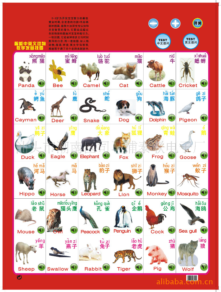 供应电子有声挂图中文识动物语音挂图ic芯片板cob板