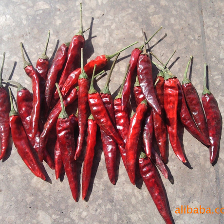 产地直销正宗优质石柱红 艳椒425 品质保证实惠