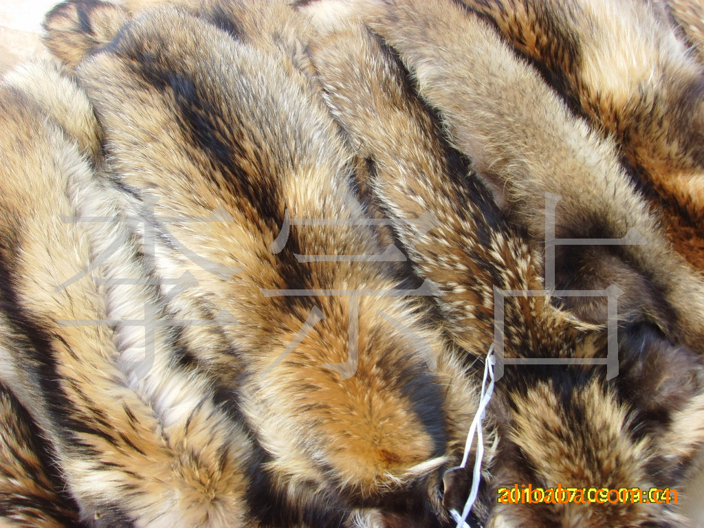 真心超赞~即可做包包挂件,也可做车钥匙挂饰  貉毛针毛长,底绒丰厚