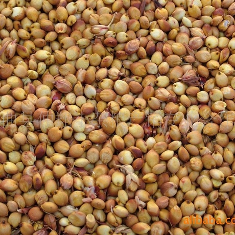 产品中心 - 粮油购销加工高梁花生果黄芥红黍绿豆蓖麻籽黑豆黄黍黄豆