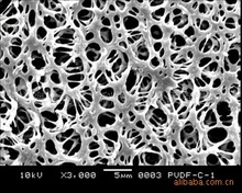 疏水聚偏氟乙烯（PVDF）微孔过滤膜