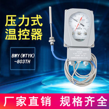 BWY(WTYK)-803TH电力变压器油面温度控制器803A/xmt温度表温控仪