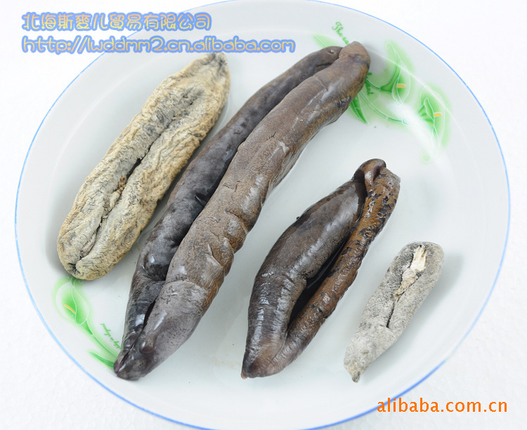 大号茄子海参 大号地瓜茄子参 海茄子 分无泥茄参和