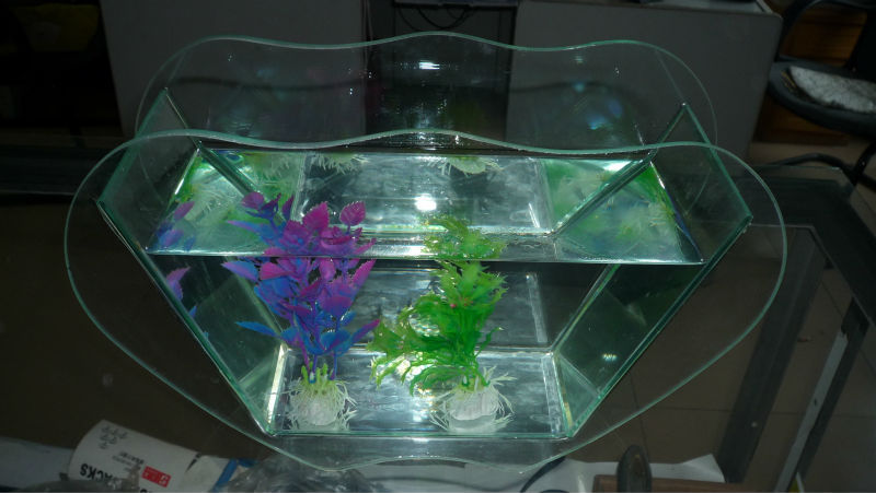 迷你鱼缸 造型水族箱 玻璃水族箱 小巧美观观赏鱼缸 30*20*1