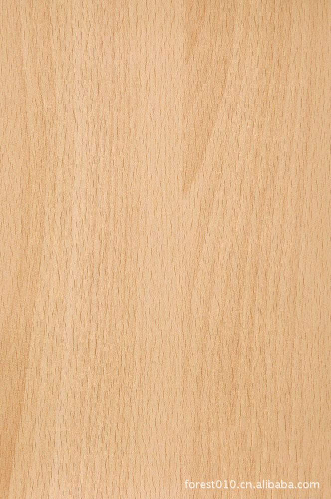 供应榉木 红榉 白榉木皮-阿里巴巴