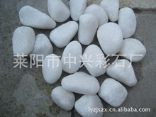 现货供应优质 天然鹅卵石 白色鹅卵石（图）