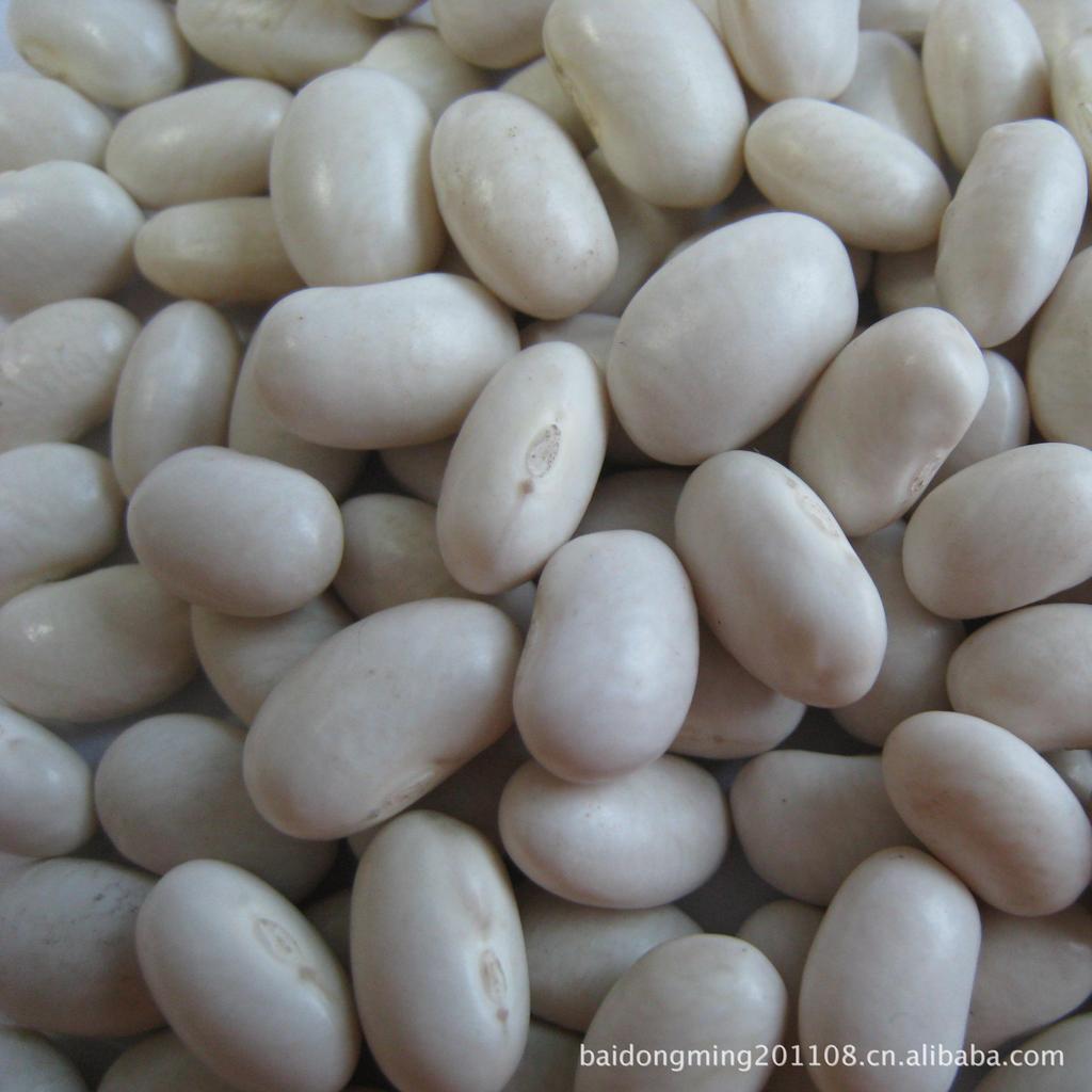 东北小白芸豆日本白馅料豆食品厂原料豆沙