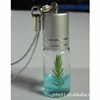 Mini plant/Angel Hanabusa/Plants pendant/Bottle flowers/Grass doll/Grass planting/Canned flower