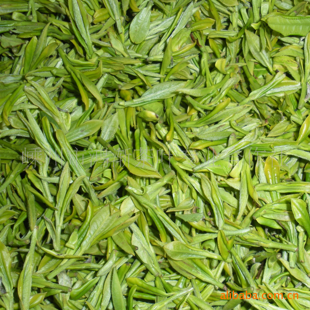 迎霜.白茶.龙井.土茶.群体种青叶 价格电议>