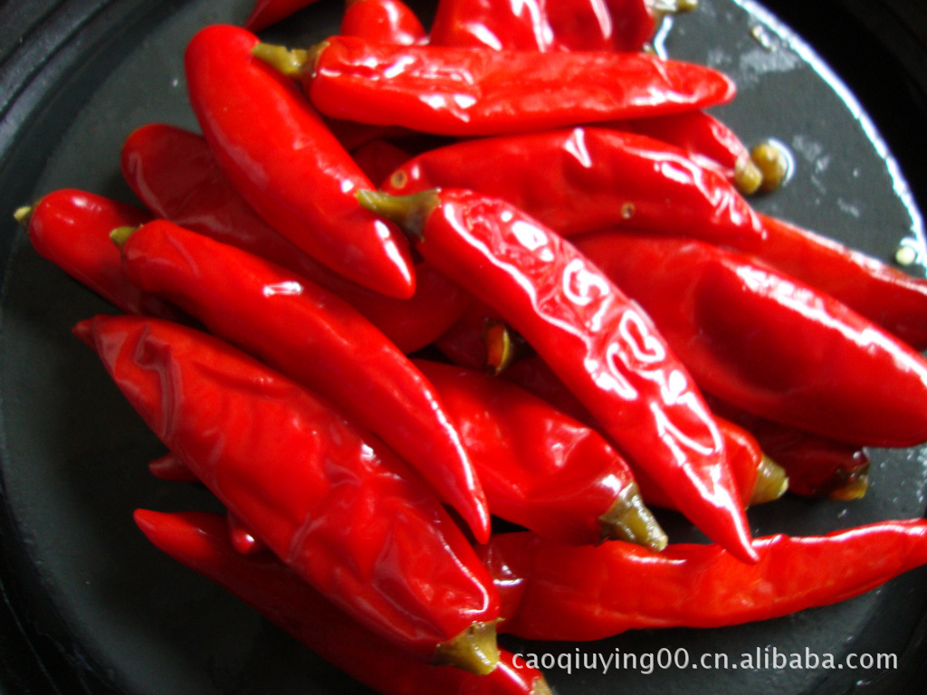 厂家二荆条长泡椒餐饮酒楼烹饪川菜厨师用二荆条长