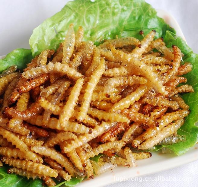 长期批发 竹虫 竹蜂 竹蛆 笋蛆 冷冻竹香虫 竹象虫 昆明银梨冷库