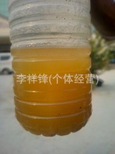 动物油生产厂家现货出售禽类饲料油 优良鸭油 工业用油量大从优