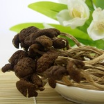 出口品质 一级干茶树菇 未开伞盖嫩柄脆养生茶树菇批发