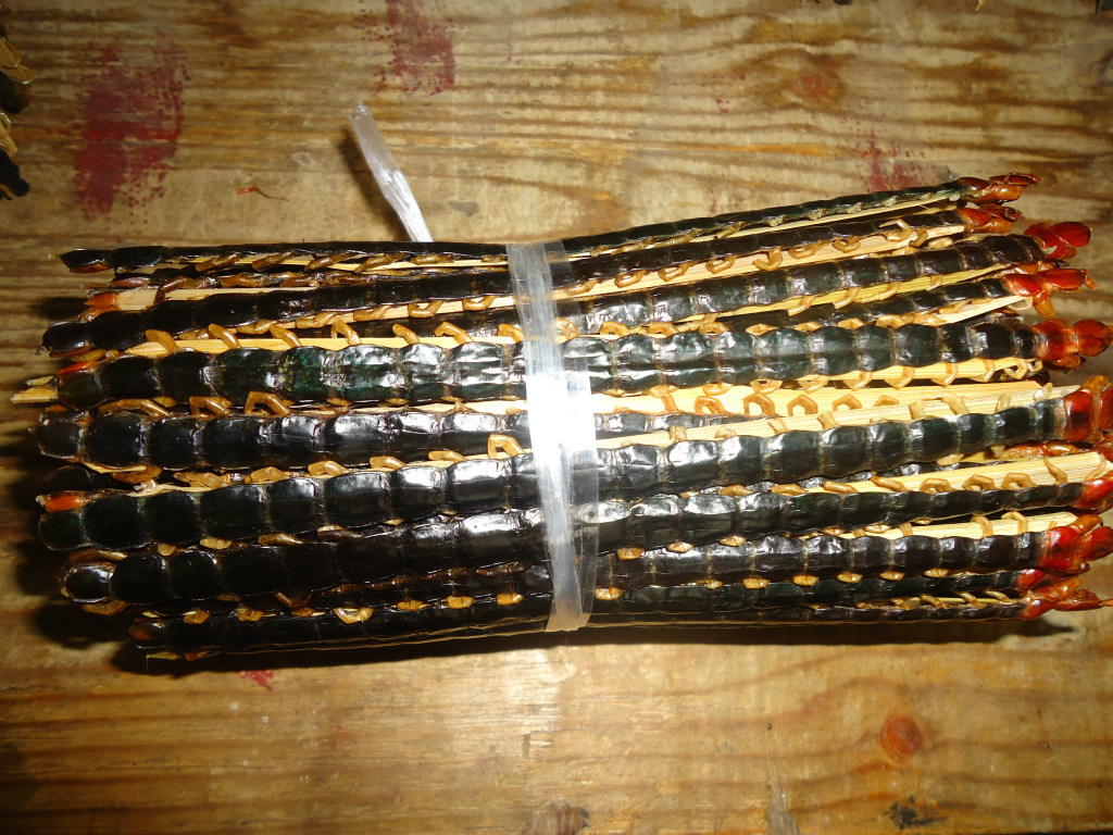 大量供应蜈蚣 蜈蚣皮 蜈蚣粉