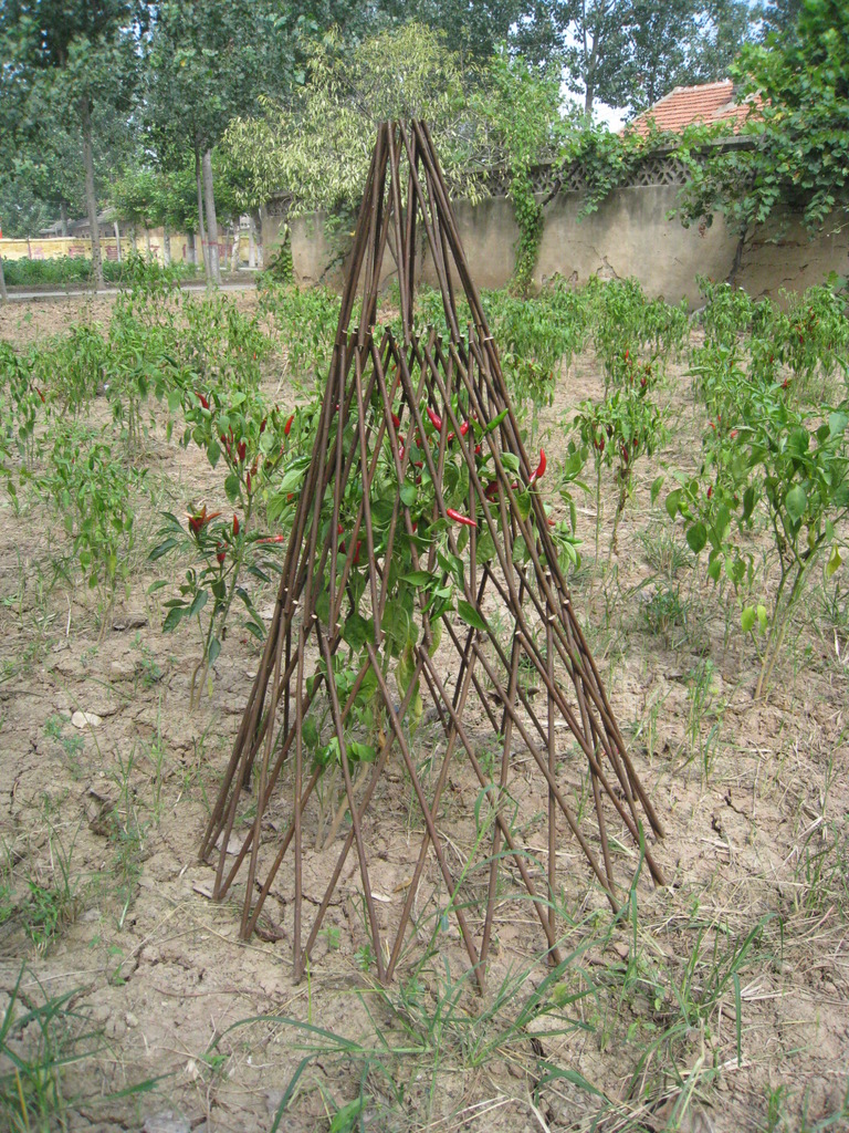 柳塔 柳爬藤架 花植缠绕柳藤 保护植物锥形柳编织品