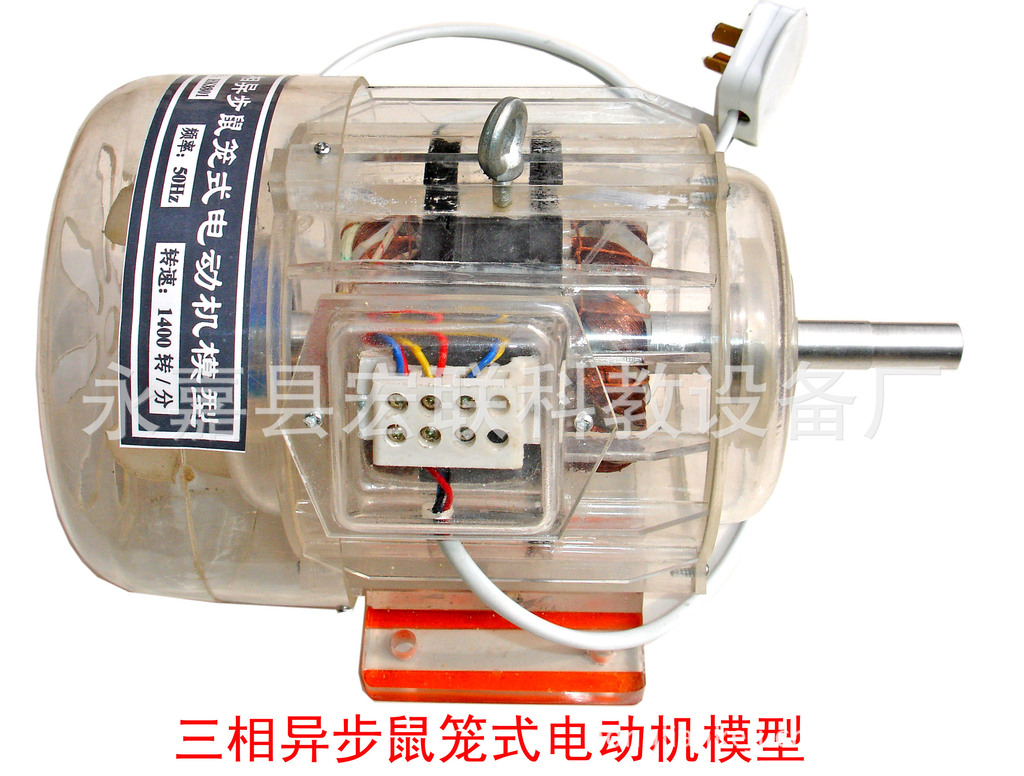 三相异步鼠笼式电动机模型