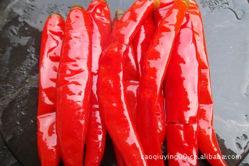 厂家直销二荆条长泡椒餐饮酒楼烹饪川菜厨师用二荆条长