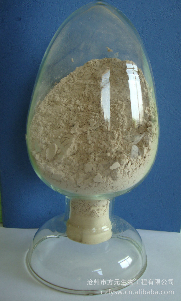 啤酒酵母酿酒酵母