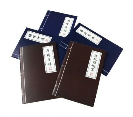 创意武林秘籍日记本 个性记事本 九阳神功 葵花宝典多款混发90g