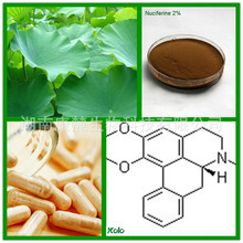 厂家直供荷叶提取物/ 荷叶碱/ 比例提取物