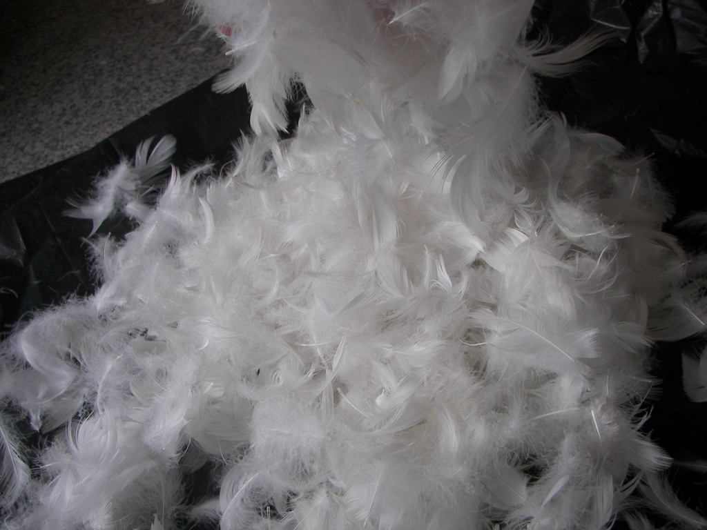厂家直供水洗无味羽绒毛片,白鸭毛,灰鹅毛,灰鸭毛,白鹅毛