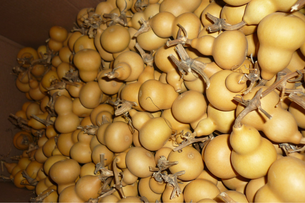 聊城市东昌府区梁水镇龙泽葫芦销售部