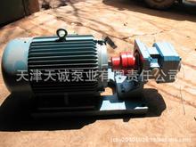 高压点火泵DHB/不锈钢泵/渣油泵/重油泵/煤焦油泵/增压燃油泵