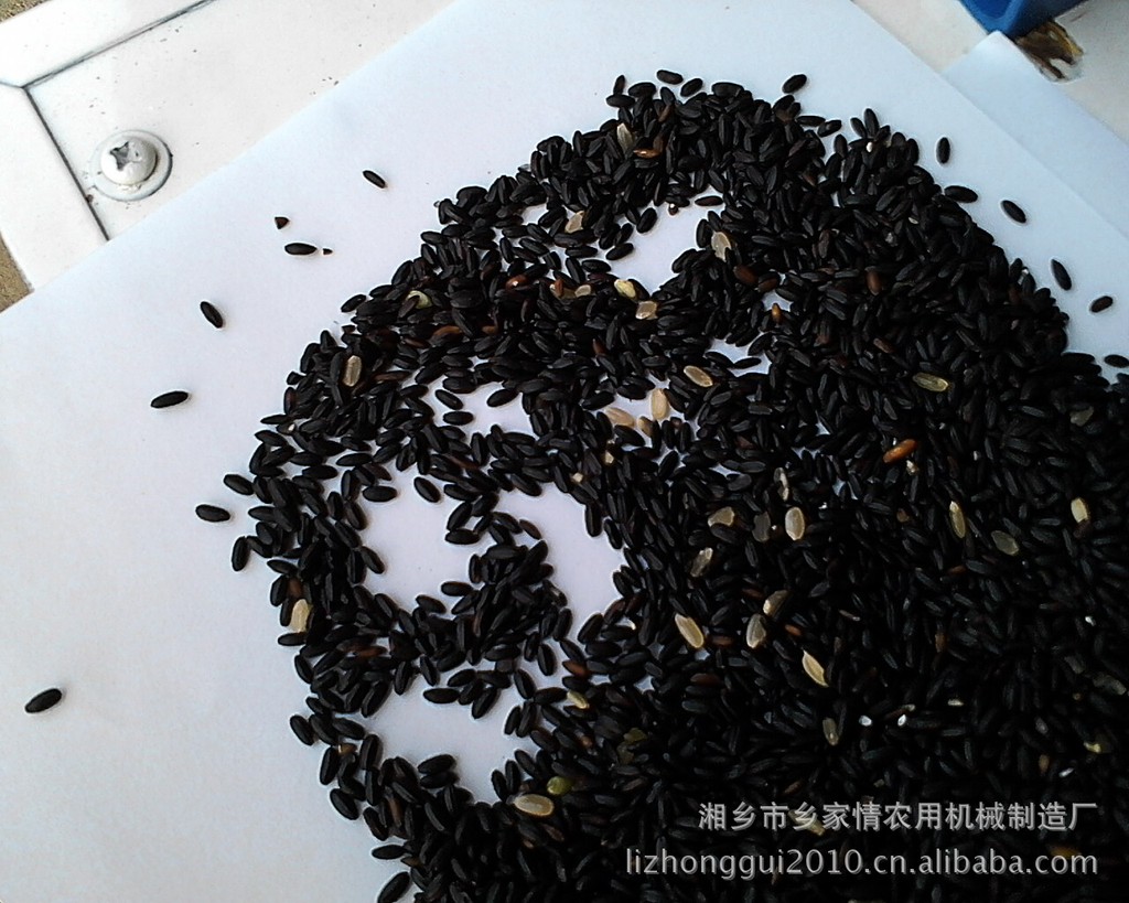 供应常规稻黑糯米种子红米种子5kg装