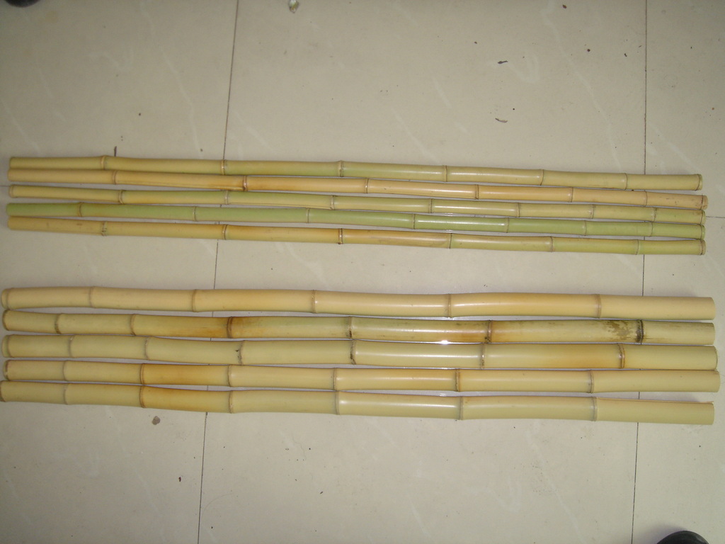 供应斑竹 装潢竹竿 园艺竹竿(图)白竹,竹杆,农用竹,菜架竹