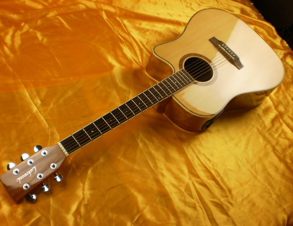 英国大树吉他 lakewood d-20 ce 电箱吉他多图