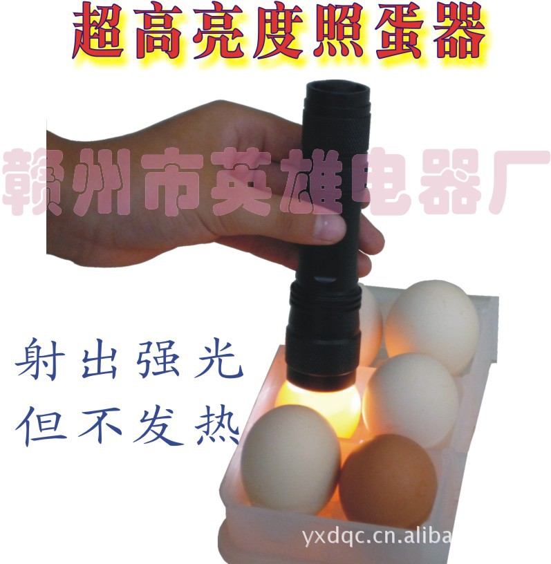 英雄 赣州 照蛋器高光选蛋器冷光