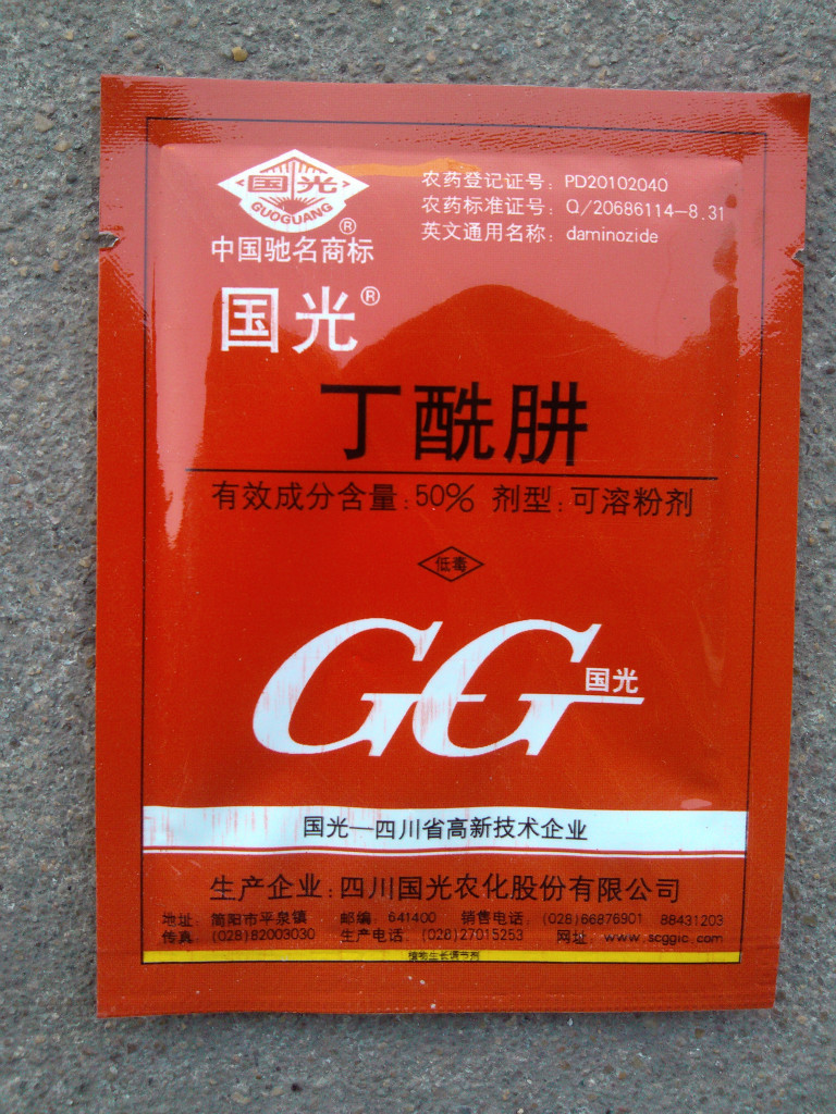 国光丁酰肼 又名 比久 b9 控徒长 矮化植株-促花芽分化10克