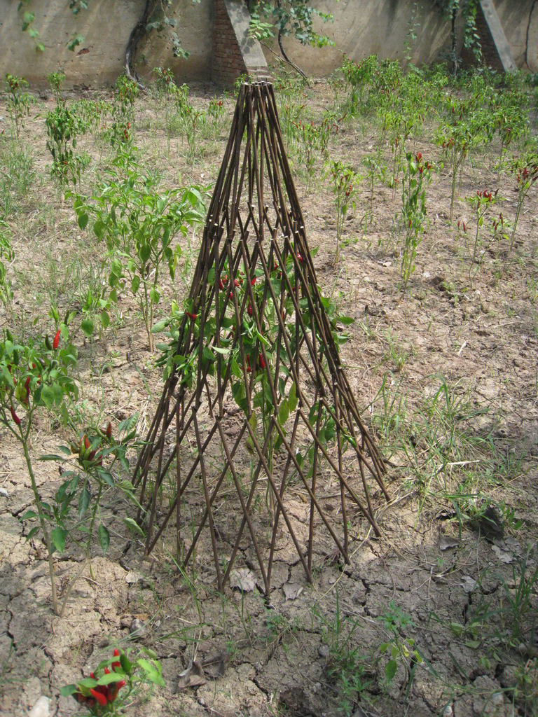 柳塔 柳爬藤架 花植缠绕柳藤 保护植物锥形柳编织品