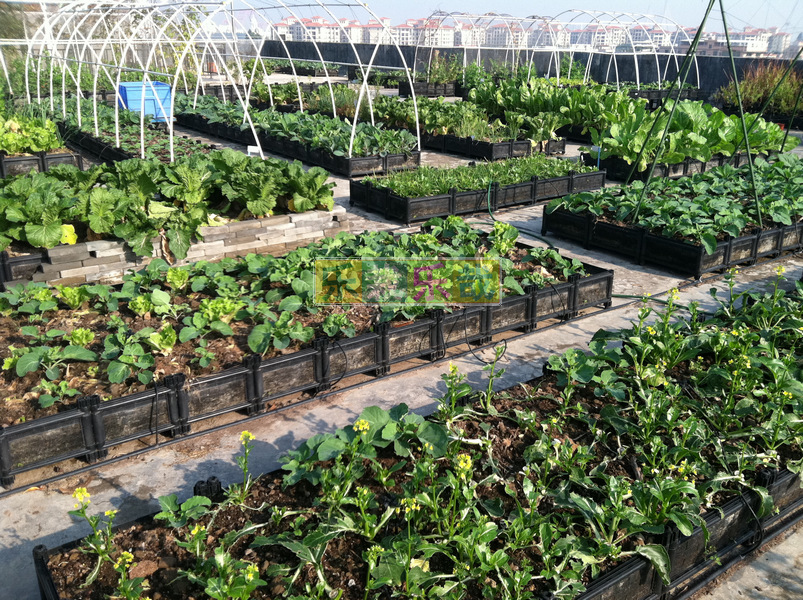 【屋顶种菜设备】