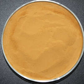 供应白茶提取物 速溶白茶粉 水溶性好 口感好奶茶店专用