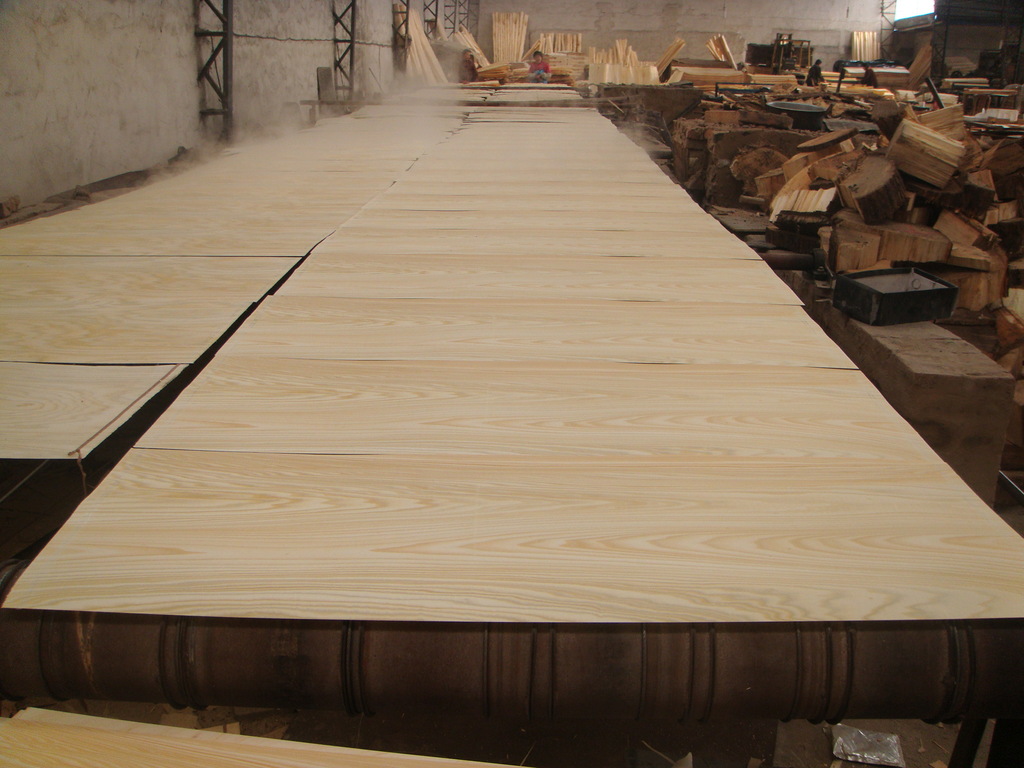 椴木吉他乐器板专用500-540系列小尺寸旋切椴木木皮0.6mm