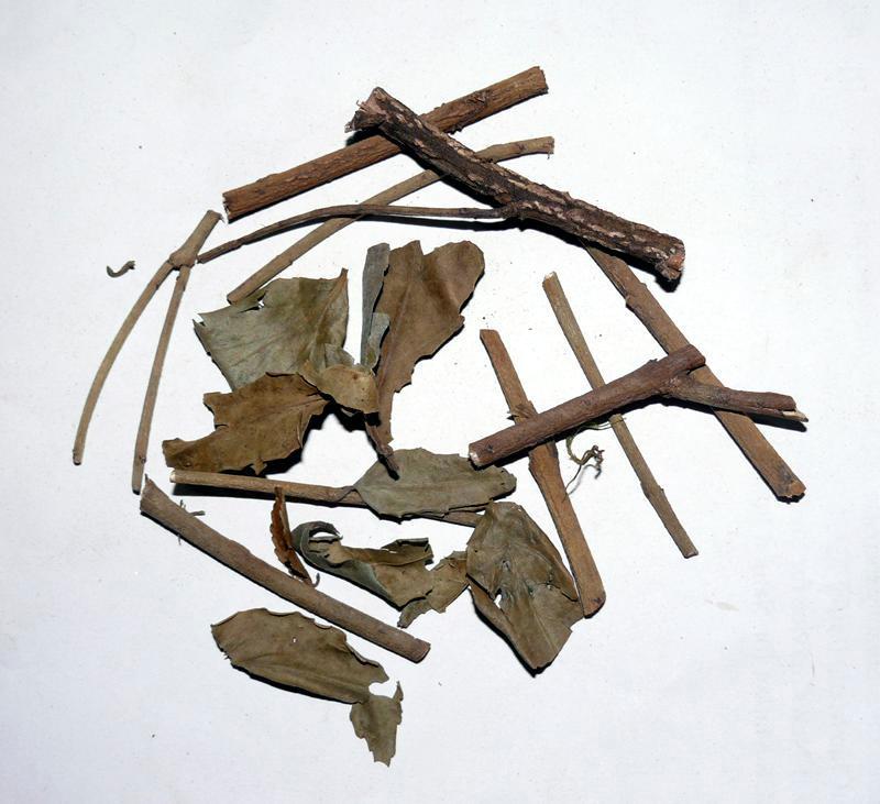 冷背药材批发零售    扶芳藤