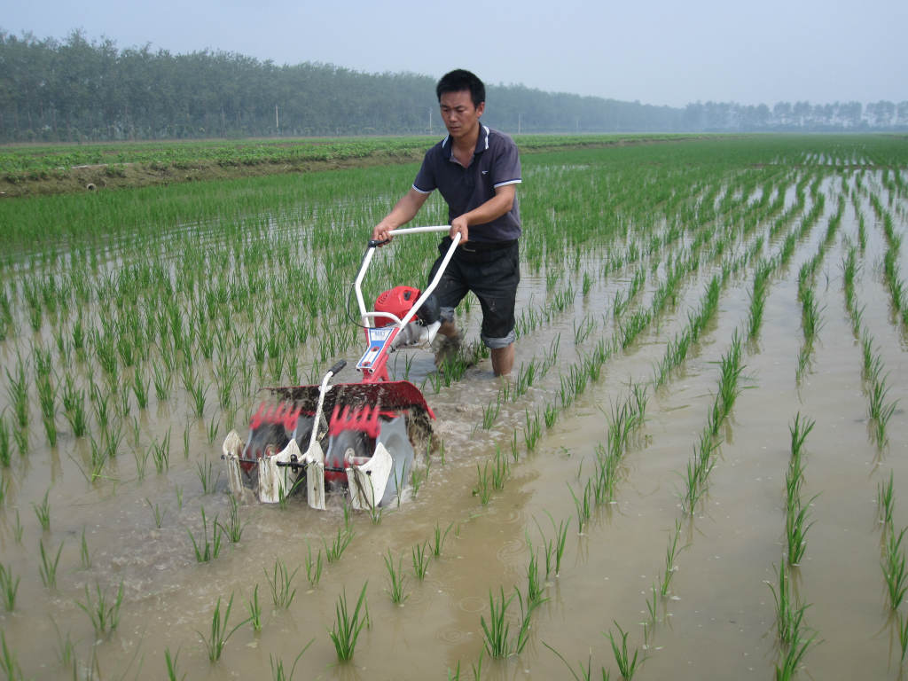 水田除草机(2行)